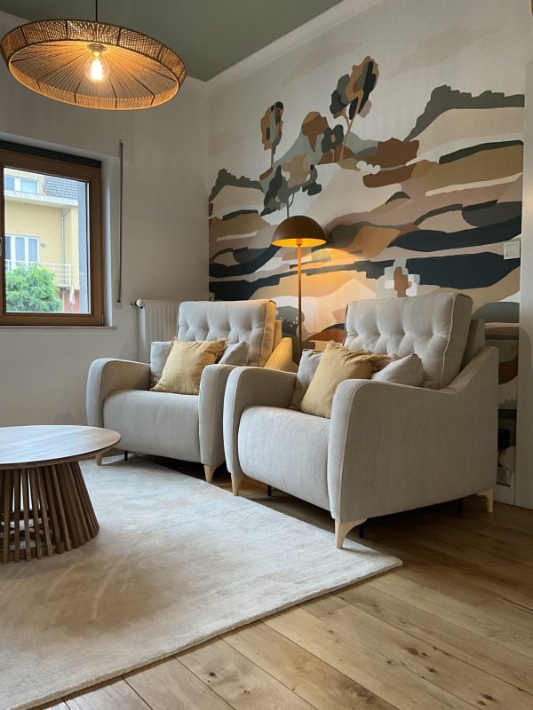 interior designer project deocration classical house eclectic colorfull living room kitchen dining room projet architecture d'intérieur décorateur decoratrice decoration maison classique salon salle à mnager cuisine